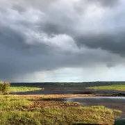 Песчаный пляж