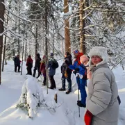 Подъем на Усьвинские столбы
