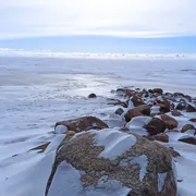 Охота на корюшку. Зимняя рыбалка в Ленобласти поход, изображение 3